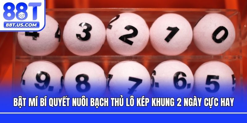Bật mí bí quyết nuôi Bạch thủ lô kép khung 2 ngày cực hay