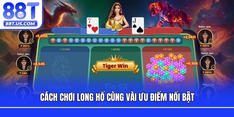 Cách chơi Long Hổ cùng vài ưu điểm nổi bật