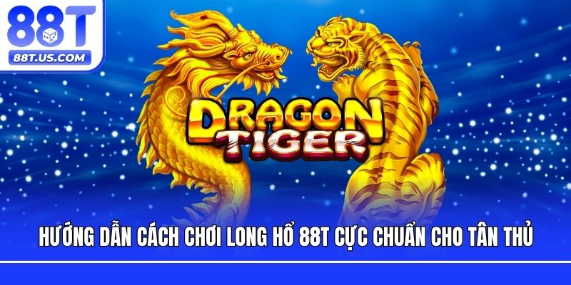 Hướng dẫn cách chơi Long Hổ cực chuẩn cho tân thủ