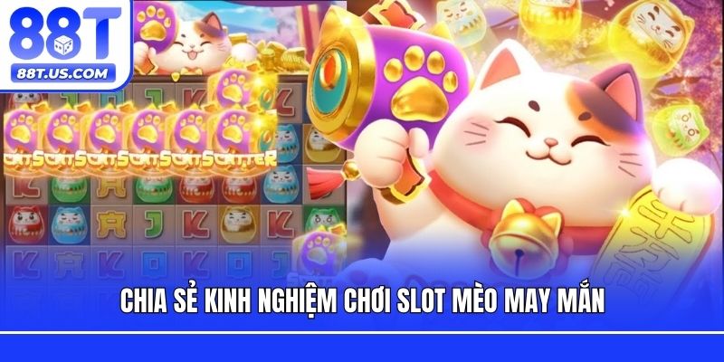 Chia sẻ kinh nghiệm chơi Slot Mèo May Mắn