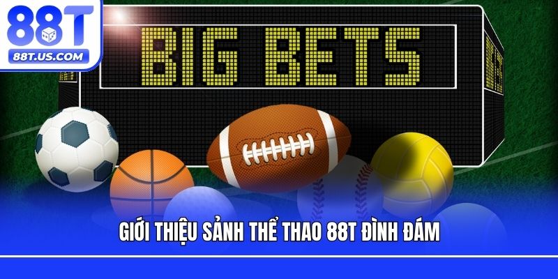 Giới thiệu sảnh thể thao 88T đình đám