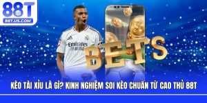 Kèo Tài Xỉu Là Gì? Kinh Nghiệm Soi Kèo Chuẩn Từ Cao Thủ 88T