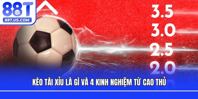 Kèo Tài Xỉu là gì và 4 kinh nghiệm từ cao thủ